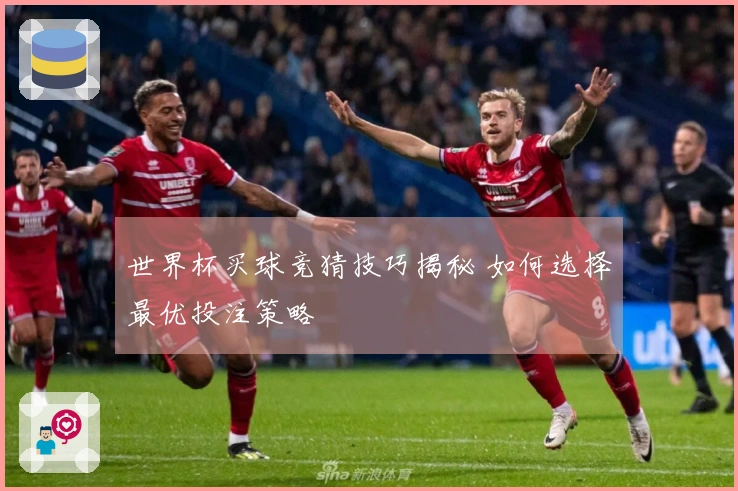 世界杯买球竞猜技巧揭秘 如何选择最优投注策略