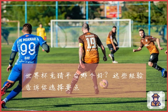 世界杯竞猜平台哪个好？这些经验告诉你选择要点