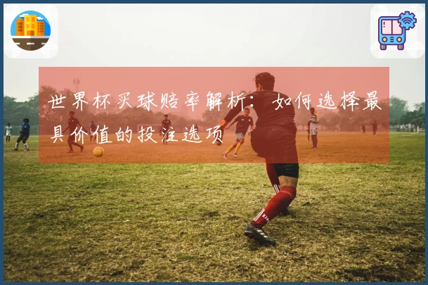世界杯买球赔率解析：如何选择最具价值的投注选项