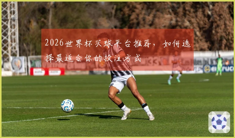 2026世界杯买球平台推荐，如何选择最适合你的投注方式