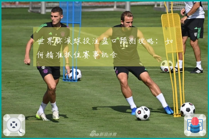 世界杯滚球投注盘口预测攻略：如何精准抓住赛事机会