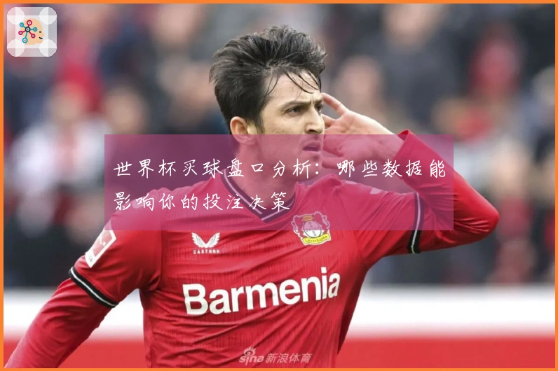 世界杯买球盘口分析：哪些数据能影响你的投注决策