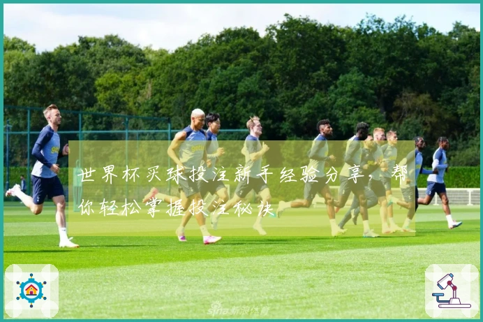 世界杯买球投注新手经验分享，帮你轻松掌握投注秘诀