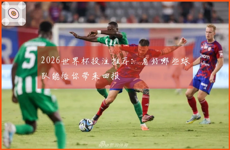 2026世界杯投注推荐：看好哪些球队能给你带来回报