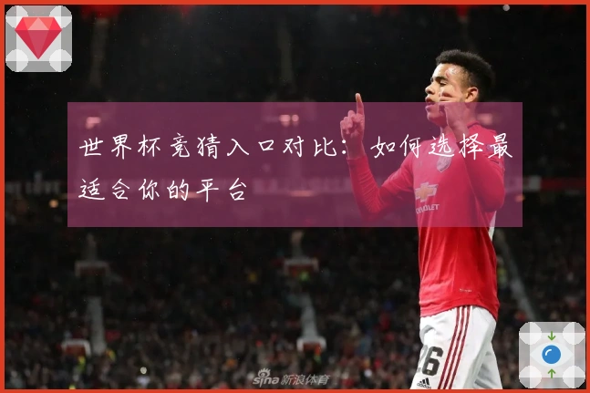 世界杯竞猜入口对比：如何选择最适合你的平台
