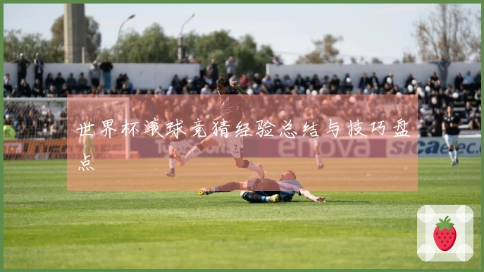 世界杯滚球竞猜经验总结与技巧盘点