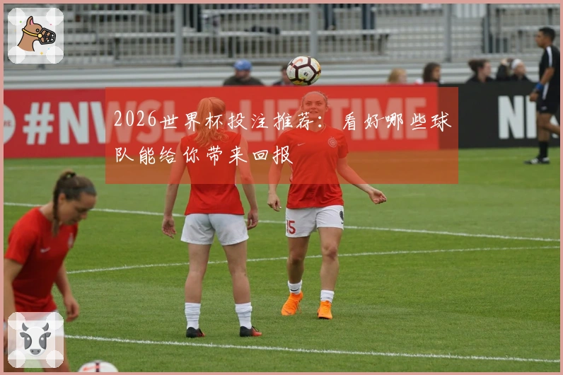 2026世界杯投注推荐：看好哪些球队能给你带来回报