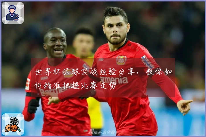 世界杯买球实战经验分享，教你如何精准把握比赛走势