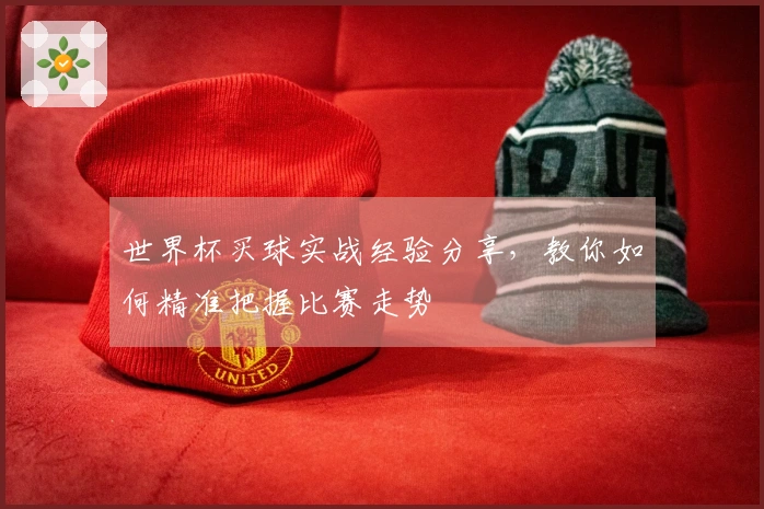 世界杯买球实战经验分享，教你如何精准把握比赛走势