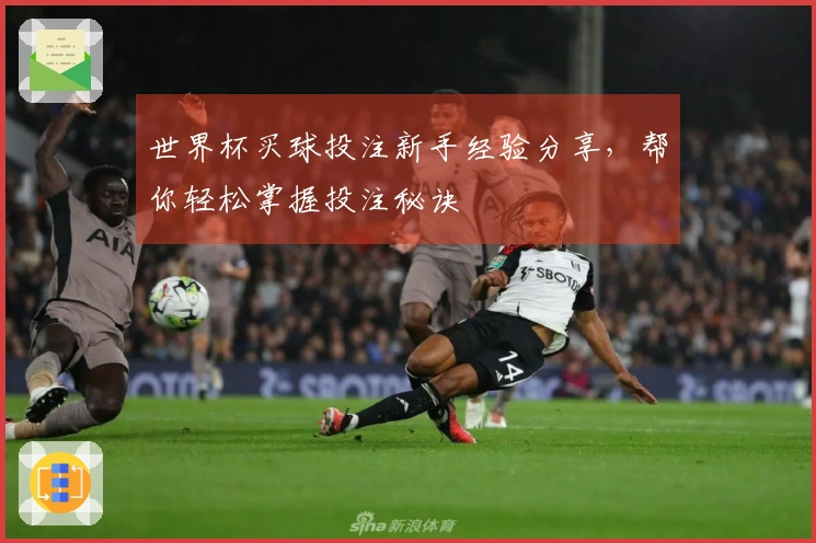 世界杯买球投注新手经验分享，帮你轻松掌握投注秘诀