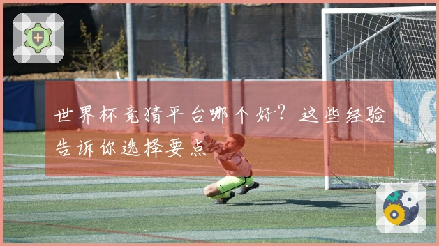 世界杯竞猜平台哪个好？这些经验告诉你选择要点